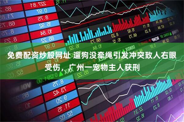 免费配资炒股网址 遛狗没牵绳引发冲突致人右眼受伤，广州一宠物主人获刑